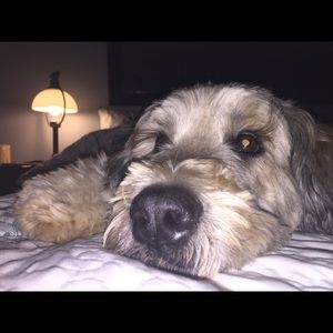 Meet your Posher, Rease